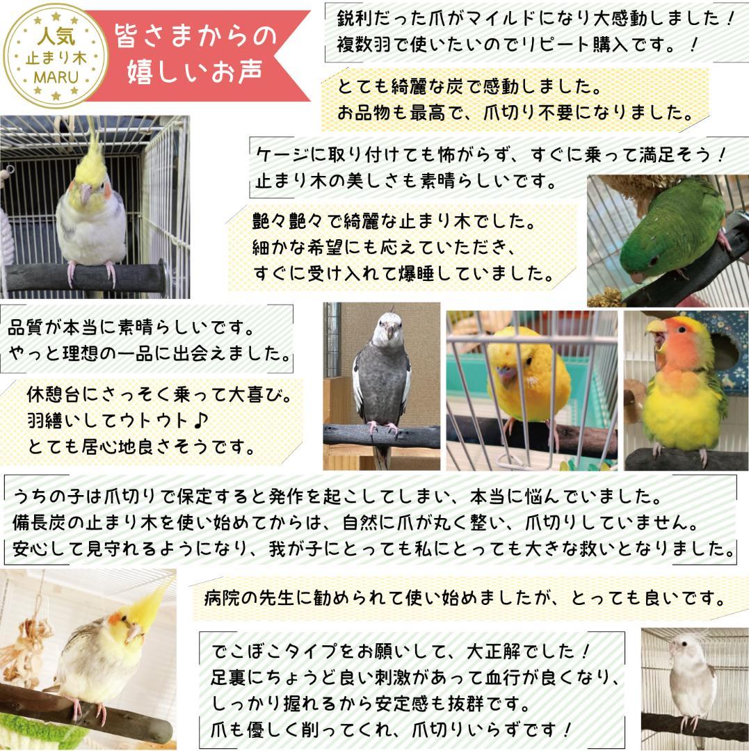 その他 kotori