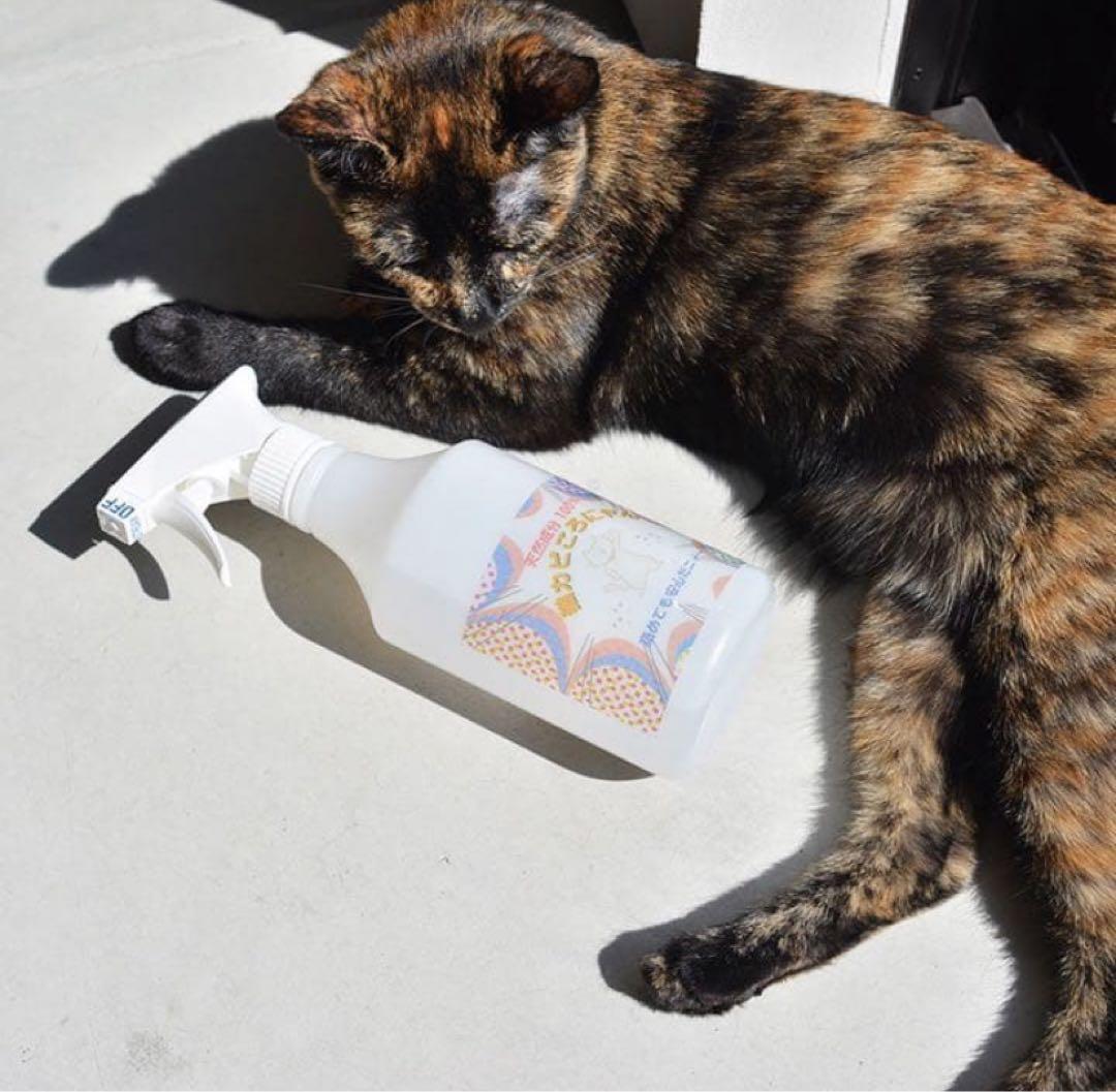 猫カビころにゃん【おトク5本セット】安心猫カビ対策スプレー※着払い