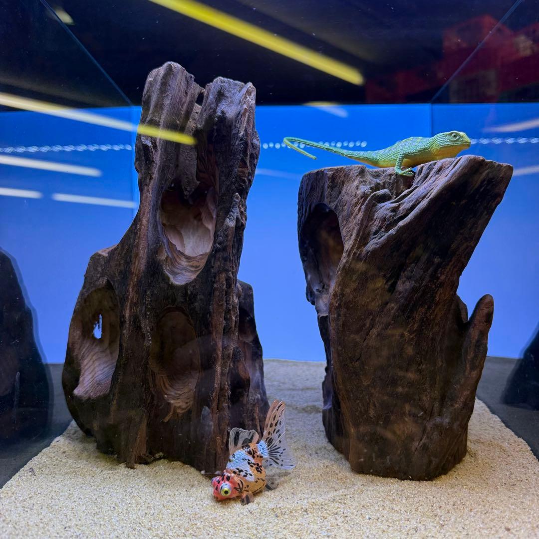 MRW-7336赤系天然流木2本セット　樹洞　隠れ家　流木　アクアリウム　爬虫類