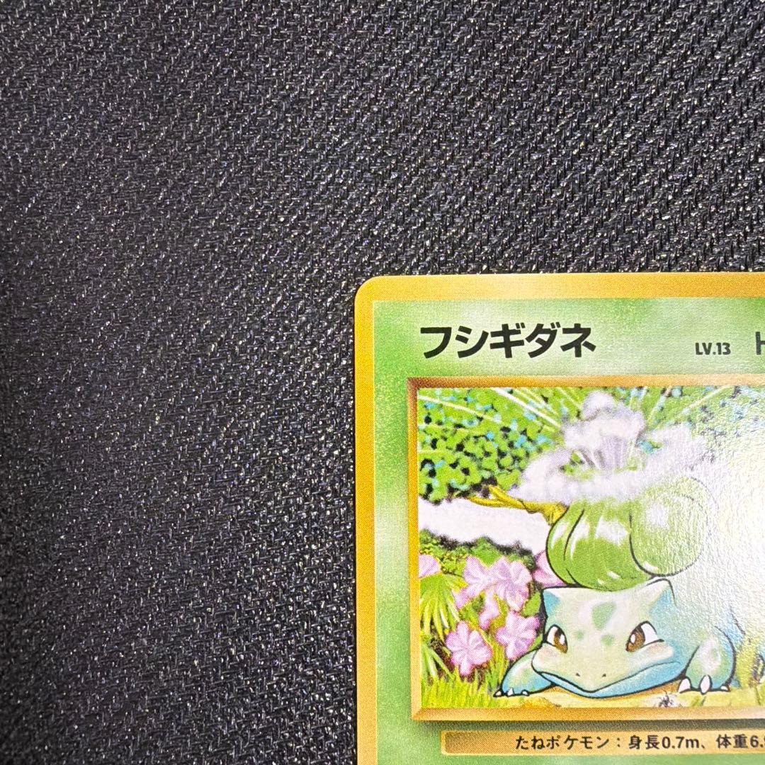 フシギダネ　初版　美品　旧裏　①