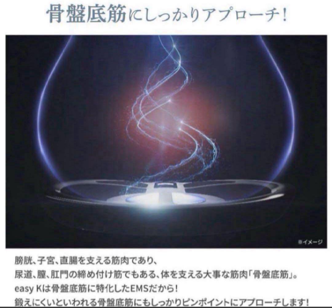 【新品未使用】easyK/easy-K/骨盤底筋/EMS/ケア